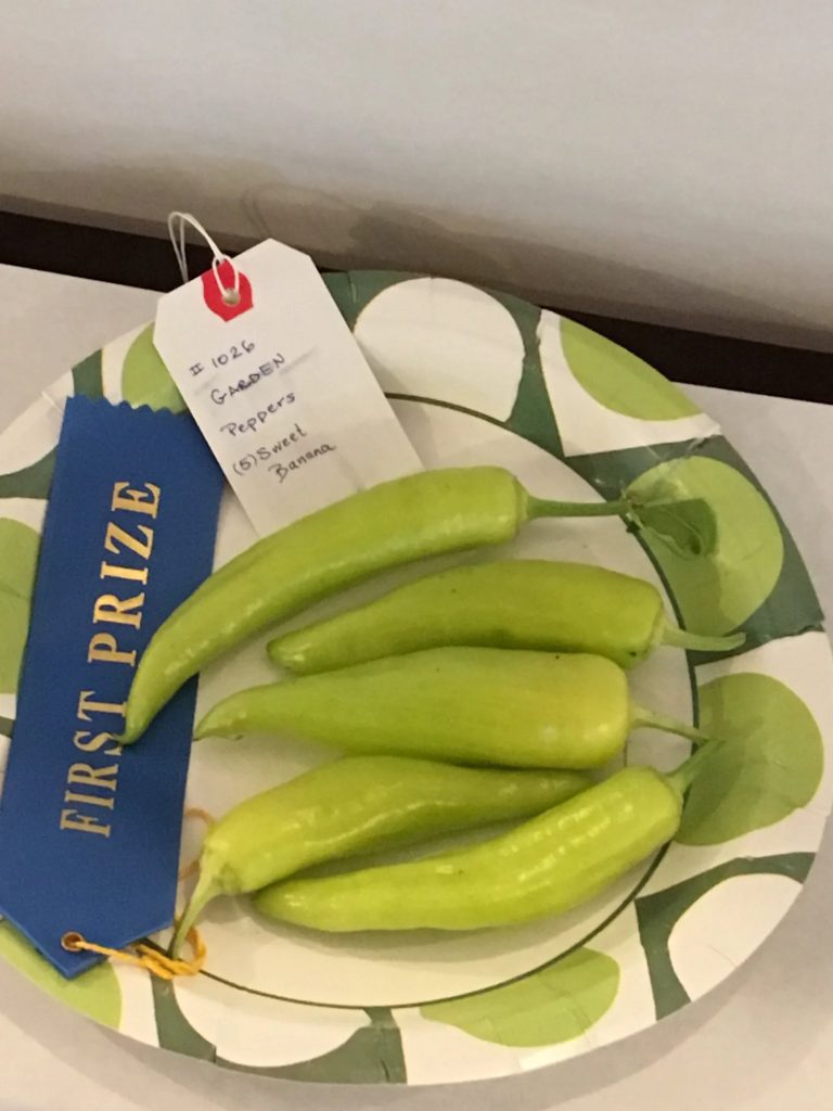 Light green peppers on plate with blue first place ribbon from garden competition