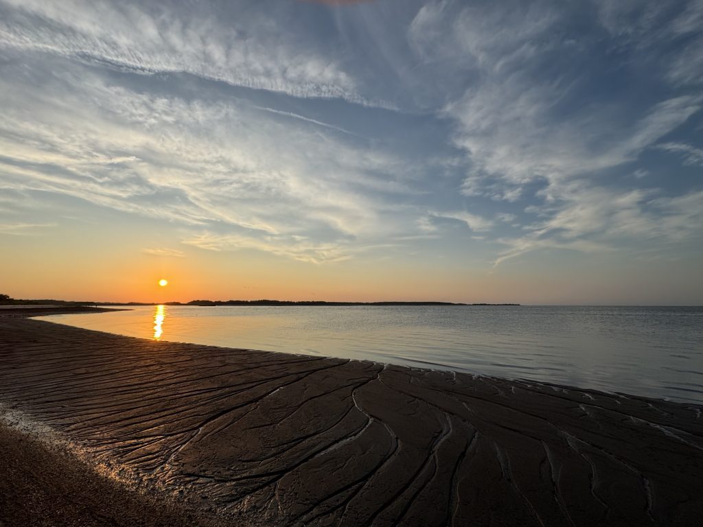 White clouds soar over a bright sunset. water has etched paths through dark seed deposits on the beach.